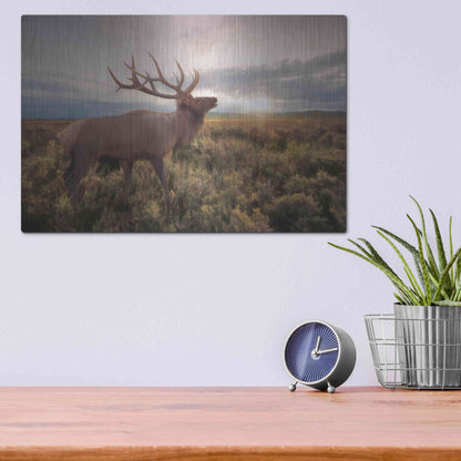 Luxe Metal Art 'Jackson Sunrise with Elk' by Lori Deiter, Metal Wall Art,16x12