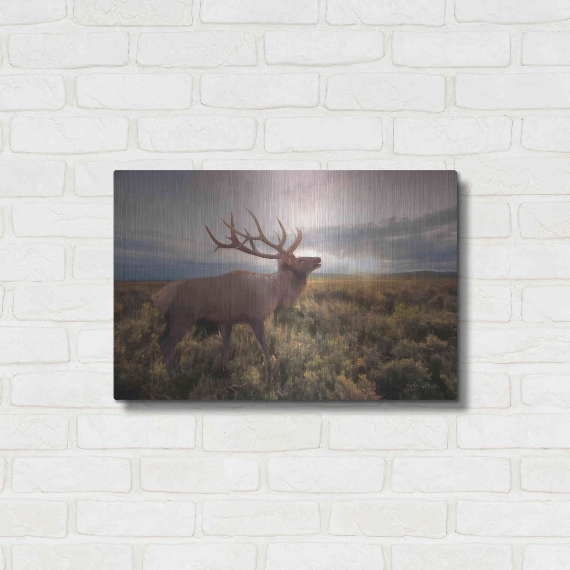 Luxe Metal Art 'Jackson Sunrise with Elk' by Lori Deiter, Metal Wall Art,24x16
