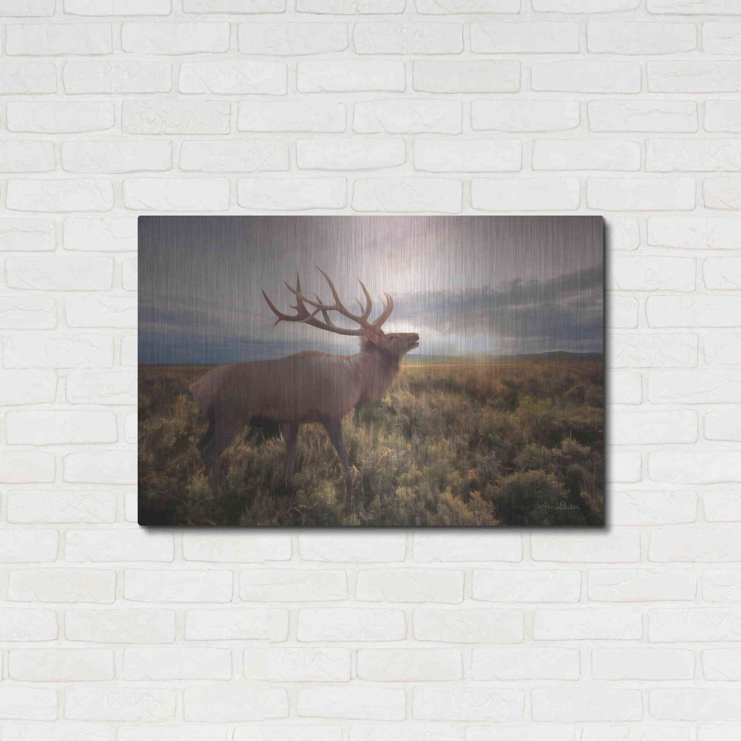 Luxe Metal Art 'Jackson Sunrise with Elk' by Lori Deiter, Metal Wall Art,36x24