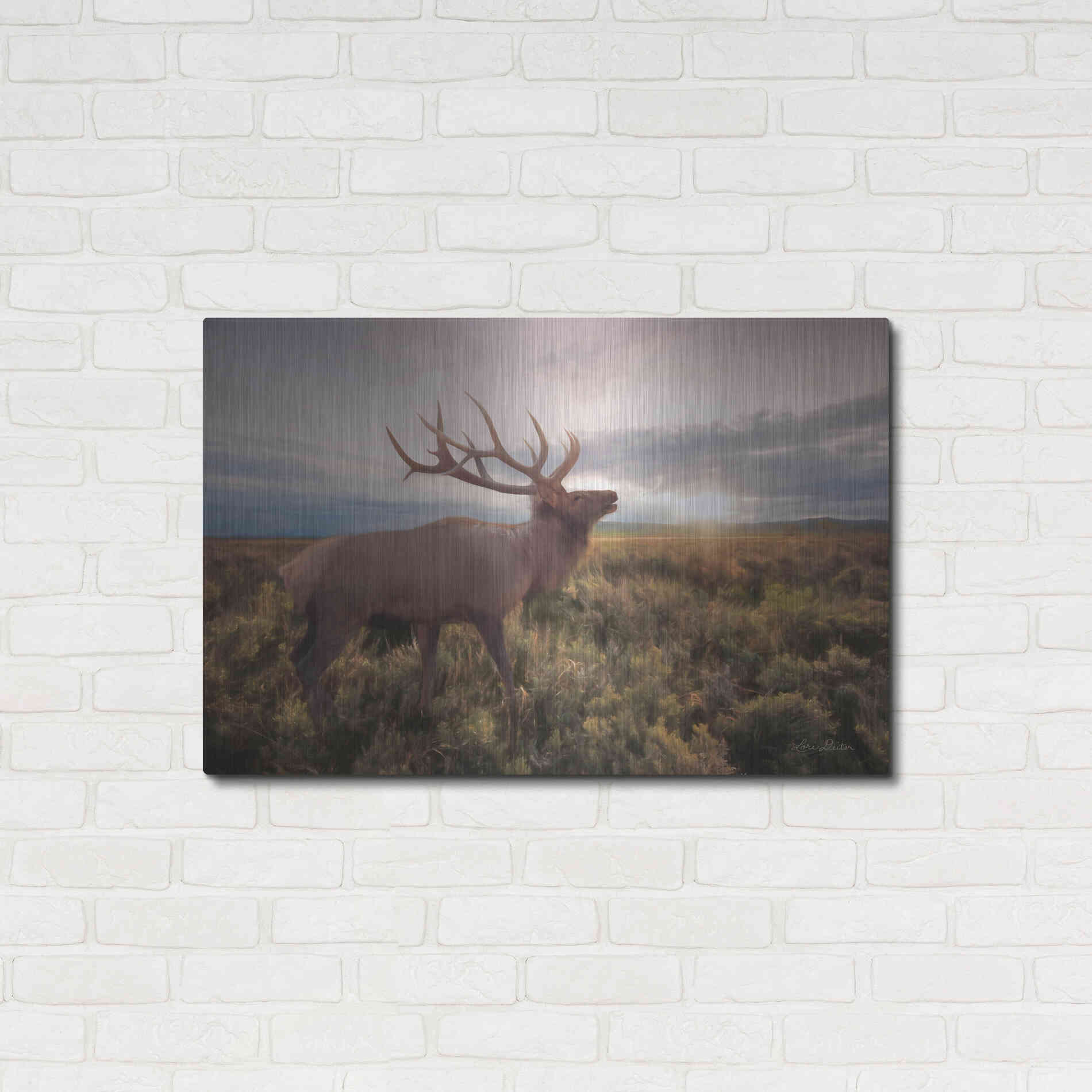 Luxe Metal Art 'Jackson Sunrise with Elk' by Lori Deiter, Metal Wall Art,36x24
