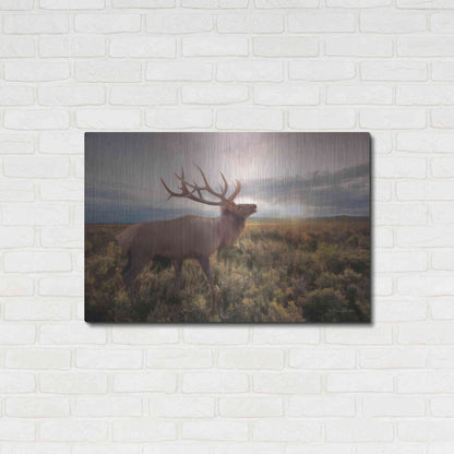 Luxe Metal Art 'Jackson Sunrise with Elk' by Lori Deiter, Metal Wall Art,36x24