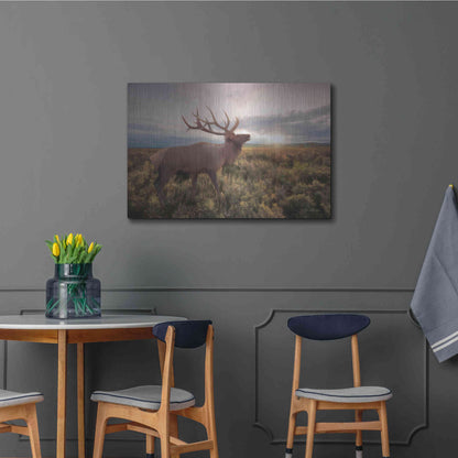 Luxe Metal Art 'Jackson Sunrise with Elk' by Lori Deiter, Metal Wall Art,36x24