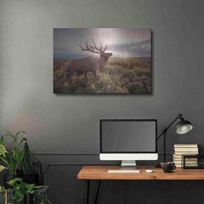 Luxe Metal Art 'Jackson Sunrise with Elk' by Lori Deiter, Metal Wall Art,36x24