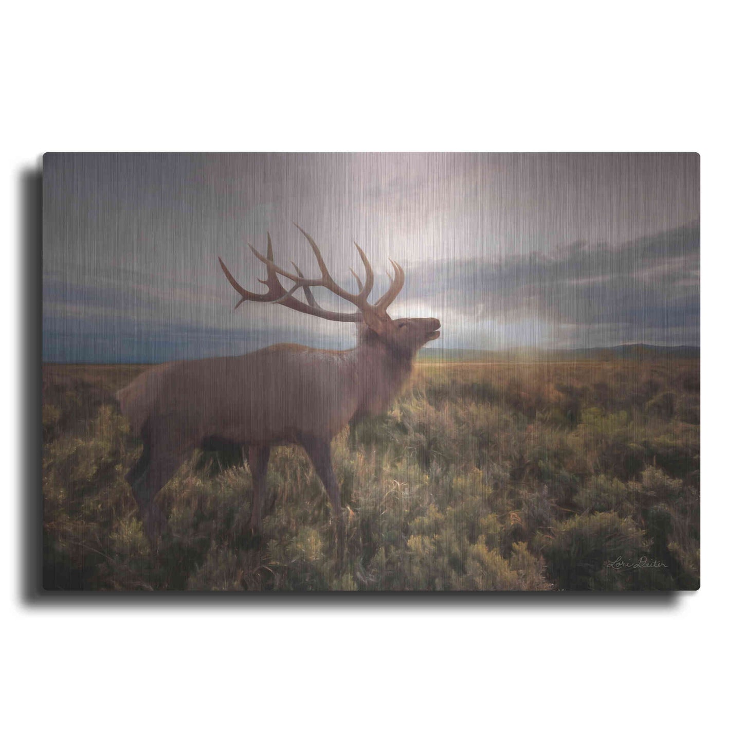 Luxe Metal Art 'Jackson Sunrise with Elk' by Lori Deiter, Metal Wall Art