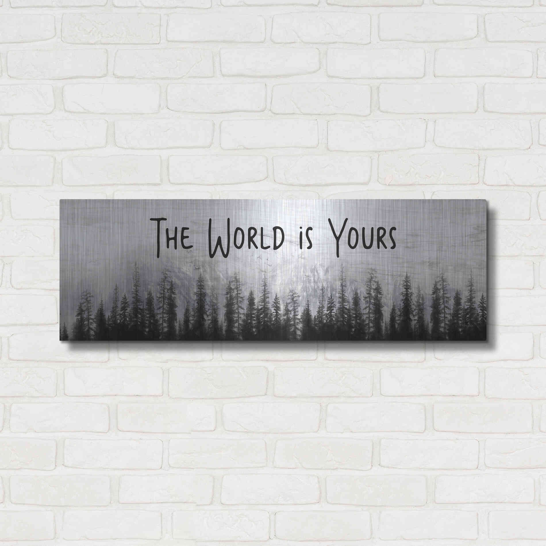 Luxe Metal Art 'The World is Yours' by Lori Deiter, Metal Wall Art,36x12