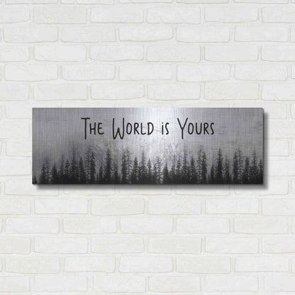 Luxe Metal Art 'The World is Yours' by Lori Deiter, Metal Wall Art,36x12