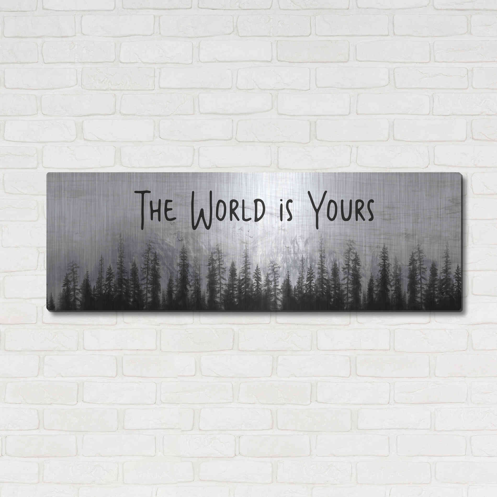 Luxe Metal Art 'The World is Yours' by Lori Deiter, Metal Wall Art,48x16