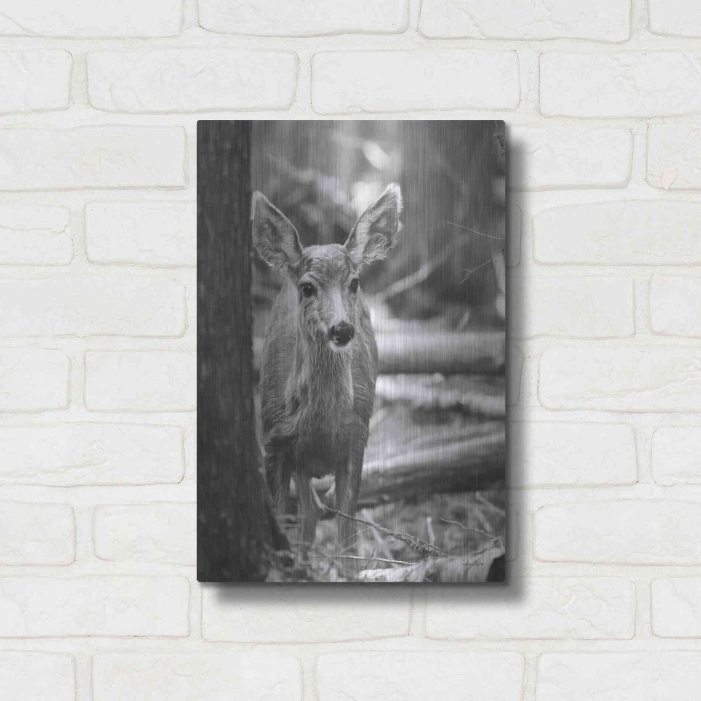 Luxe Metal Art 'Rocky Mountains Deer' by Lori Deiter, Metal Wall Art,12x16