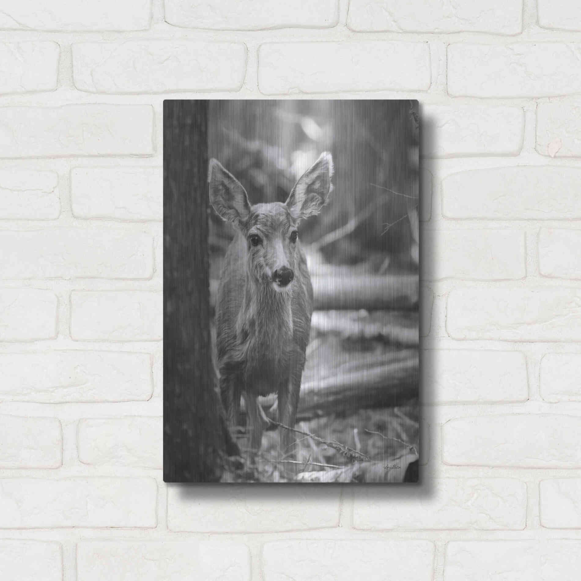 Luxe Metal Art 'Rocky Mountains Deer' by Lori Deiter, Metal Wall Art,12x16