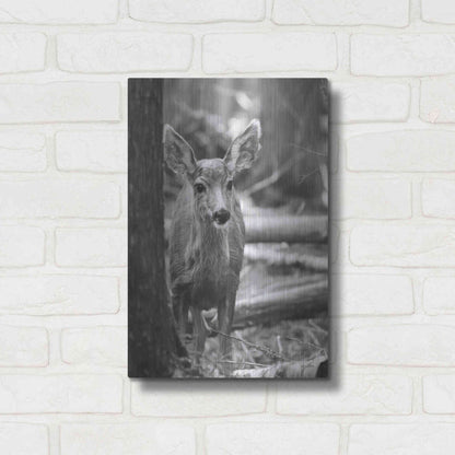 Luxe Metal Art 'Rocky Mountains Deer' by Lori Deiter, Metal Wall Art,12x16