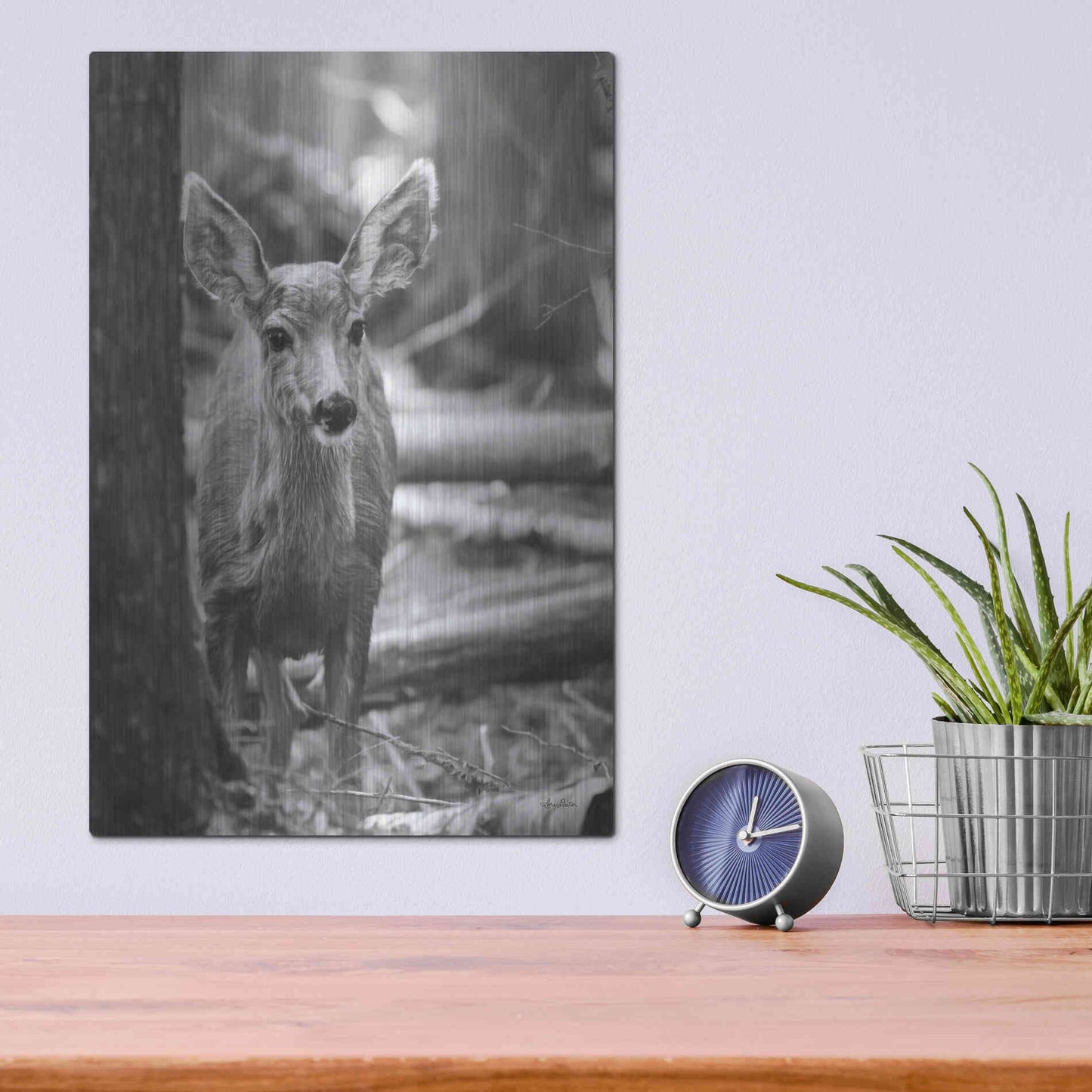 Luxe Metal Art 'Rocky Mountains Deer' by Lori Deiter, Metal Wall Art,12x16