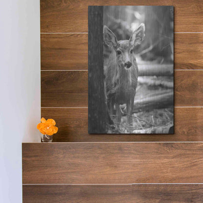 Luxe Metal Art 'Rocky Mountains Deer' by Lori Deiter, Metal Wall Art,12x16