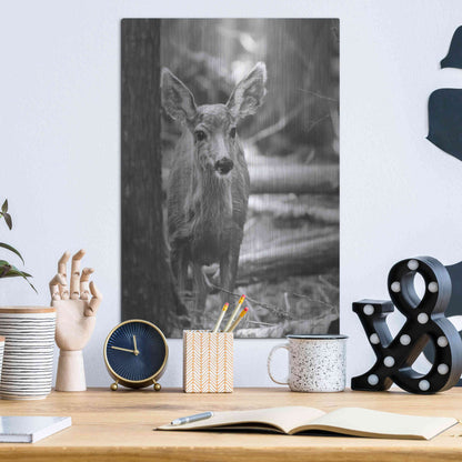 Luxe Metal Art 'Rocky Mountains Deer' by Lori Deiter, Metal Wall Art,12x16