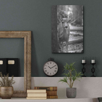 Luxe Metal Art 'Rocky Mountains Deer' by Lori Deiter, Metal Wall Art,12x16