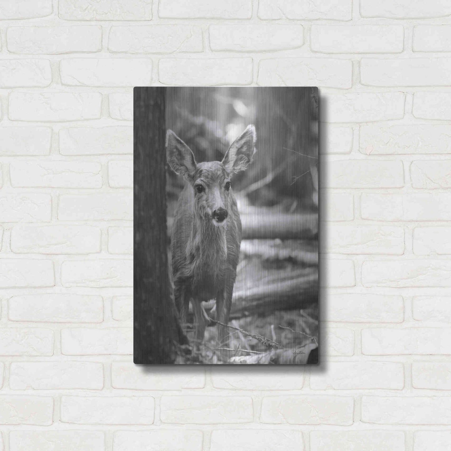Luxe Metal Art 'Rocky Mountains Deer' by Lori Deiter, Metal Wall Art,16x24