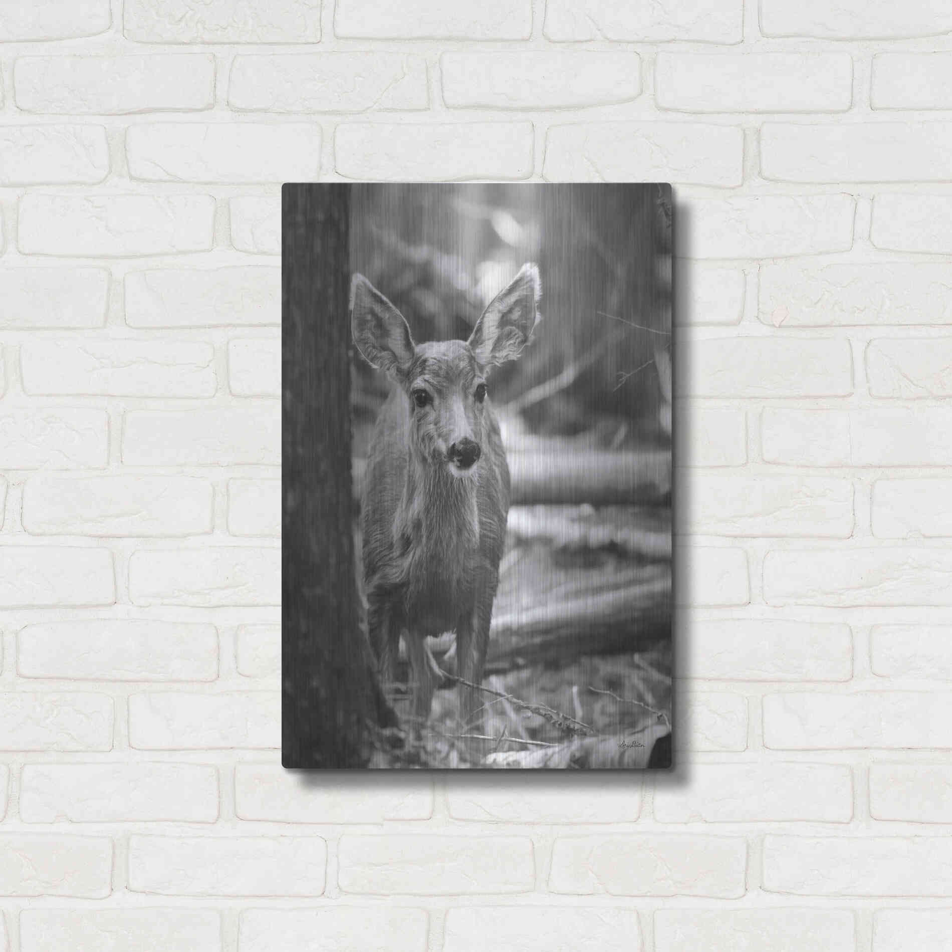 Luxe Metal Art 'Rocky Mountains Deer' by Lori Deiter, Metal Wall Art,16x24