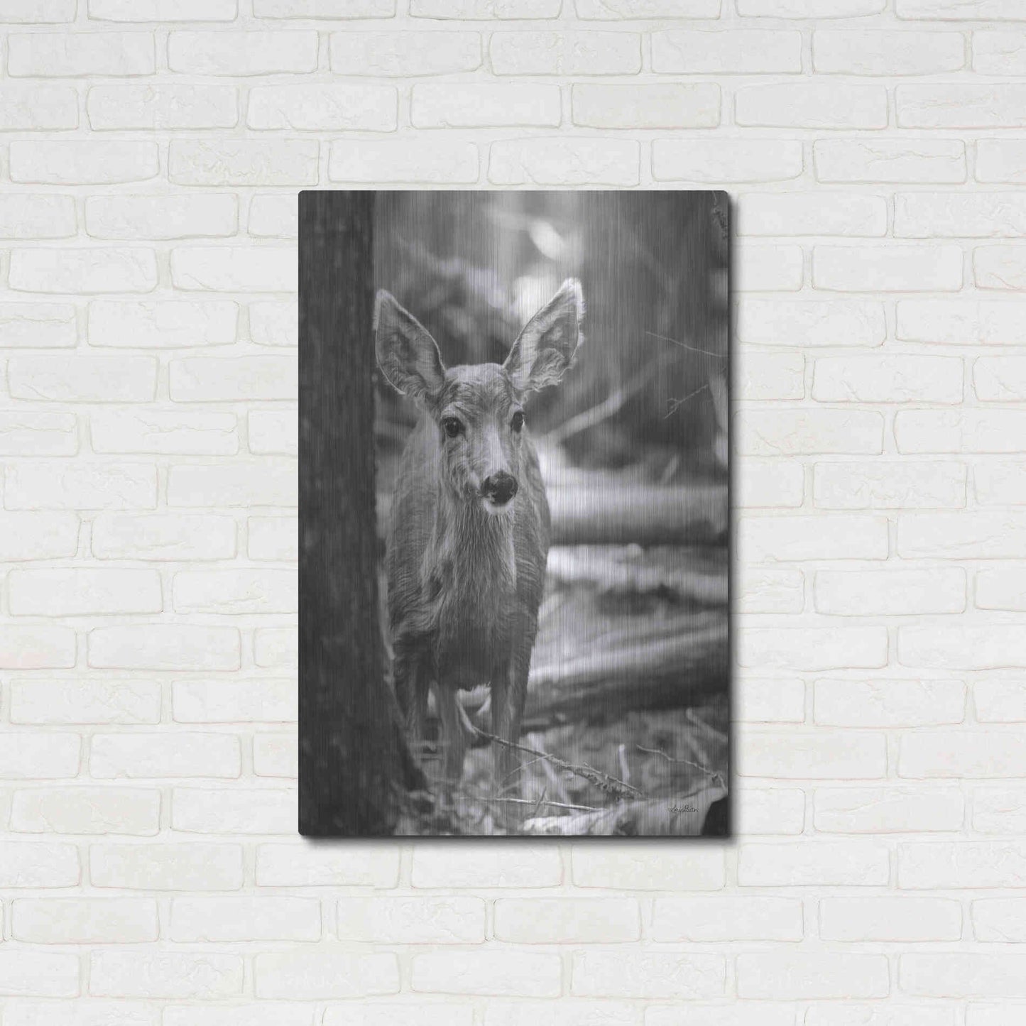 Luxe Metal Art 'Rocky Mountains Deer' by Lori Deiter, Metal Wall Art,24x36