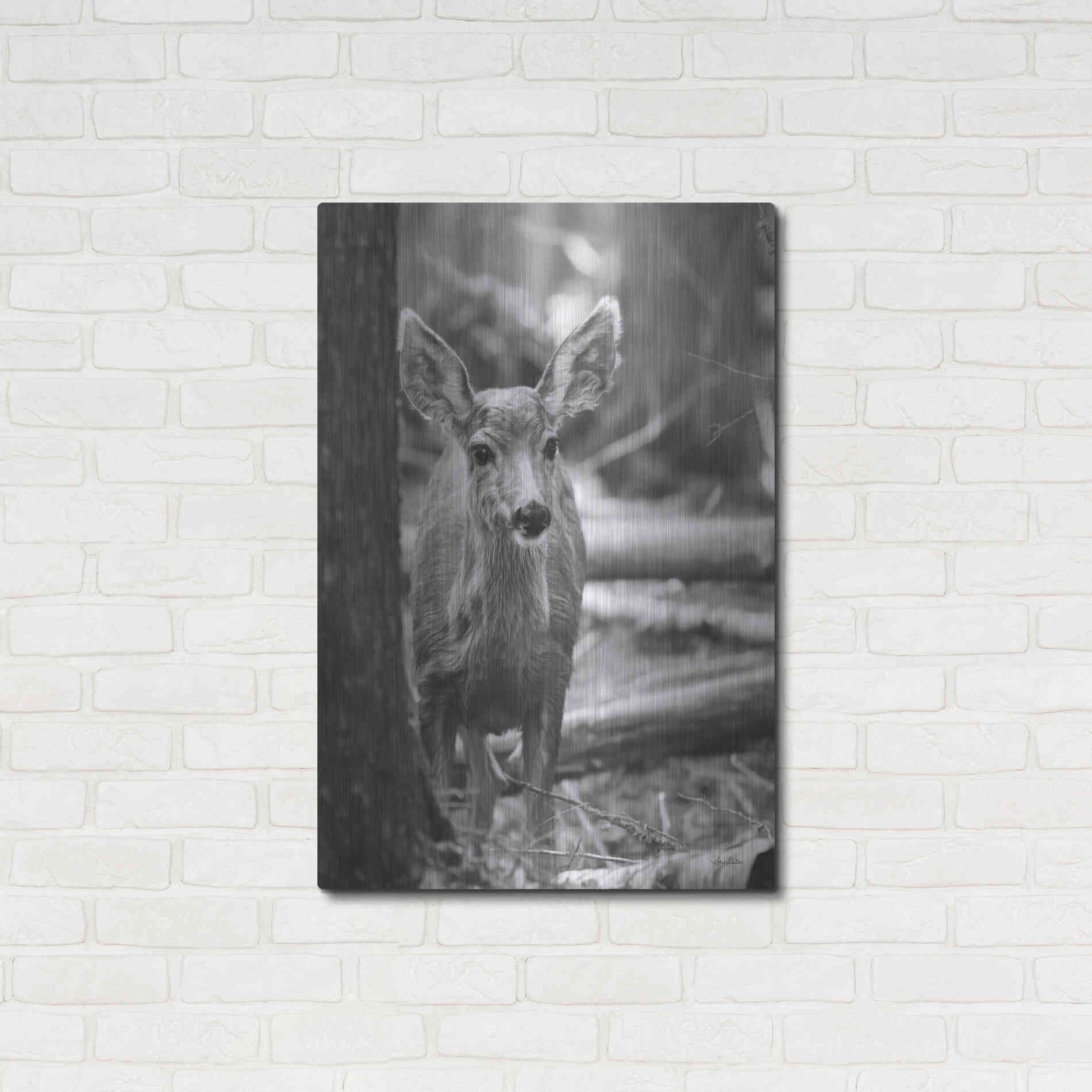 Luxe Metal Art 'Rocky Mountains Deer' by Lori Deiter, Metal Wall Art,24x36
