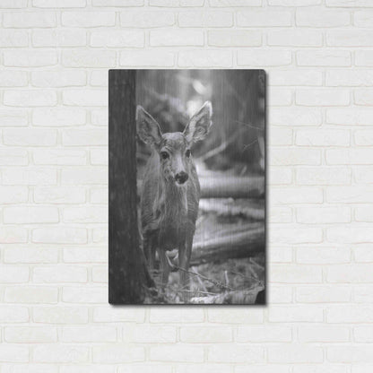 Luxe Metal Art 'Rocky Mountains Deer' by Lori Deiter, Metal Wall Art,24x36