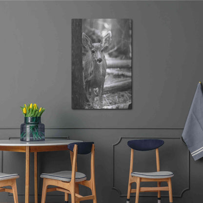 Luxe Metal Art 'Rocky Mountains Deer' by Lori Deiter, Metal Wall Art,24x36