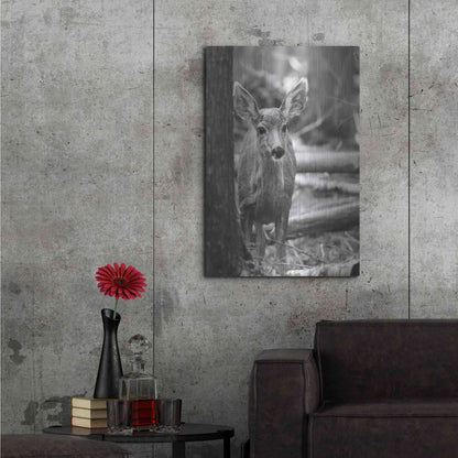 Luxe Metal Art 'Rocky Mountains Deer' by Lori Deiter, Metal Wall Art,24x36
