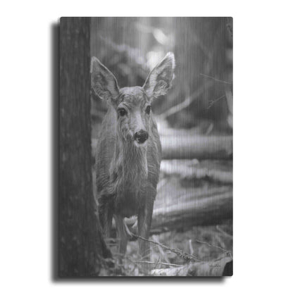 Luxe Metal Art 'Rocky Mountains Deer' by Lori Deiter, Metal Wall Art
