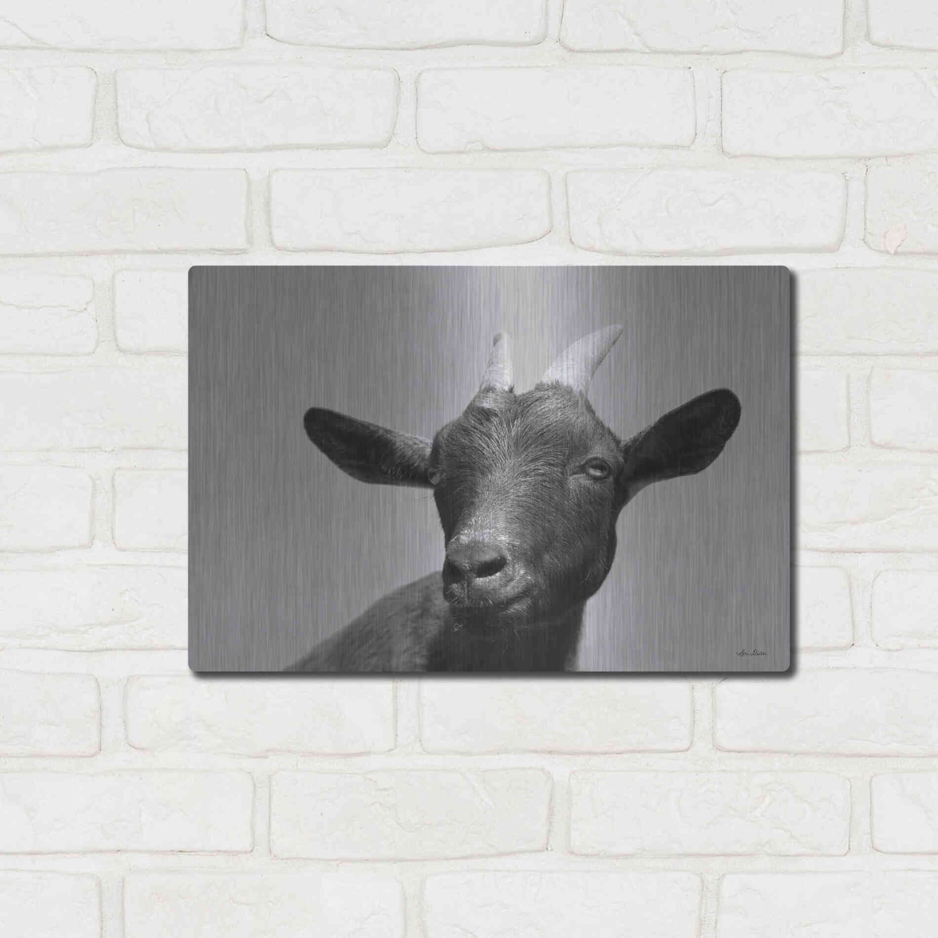 Luxe Metal Art 'Lake Tobias Goat I' by Lori Deiter, Metal Wall Art,16x12