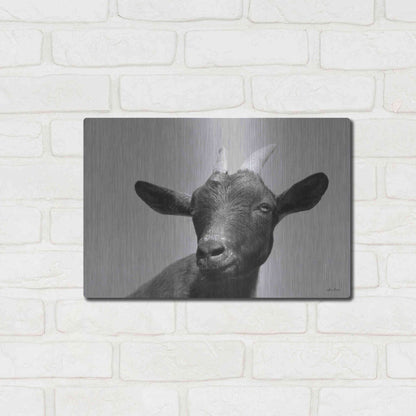 Luxe Metal Art 'Lake Tobias Goat I' by Lori Deiter, Metal Wall Art,16x12