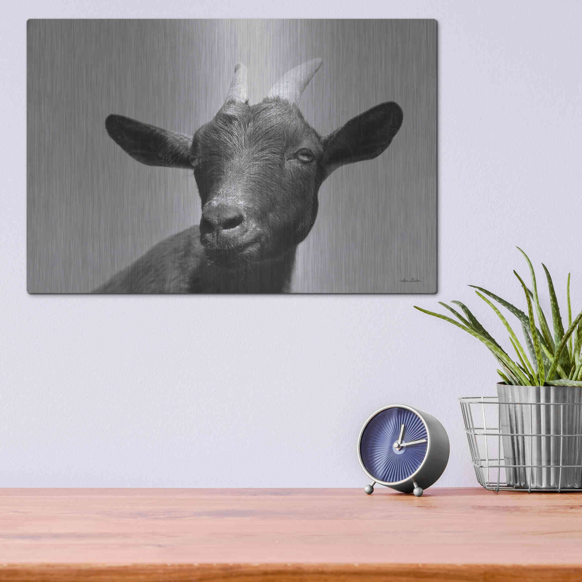 Luxe Metal Art 'Lake Tobias Goat I' by Lori Deiter, Metal Wall Art,16x12
