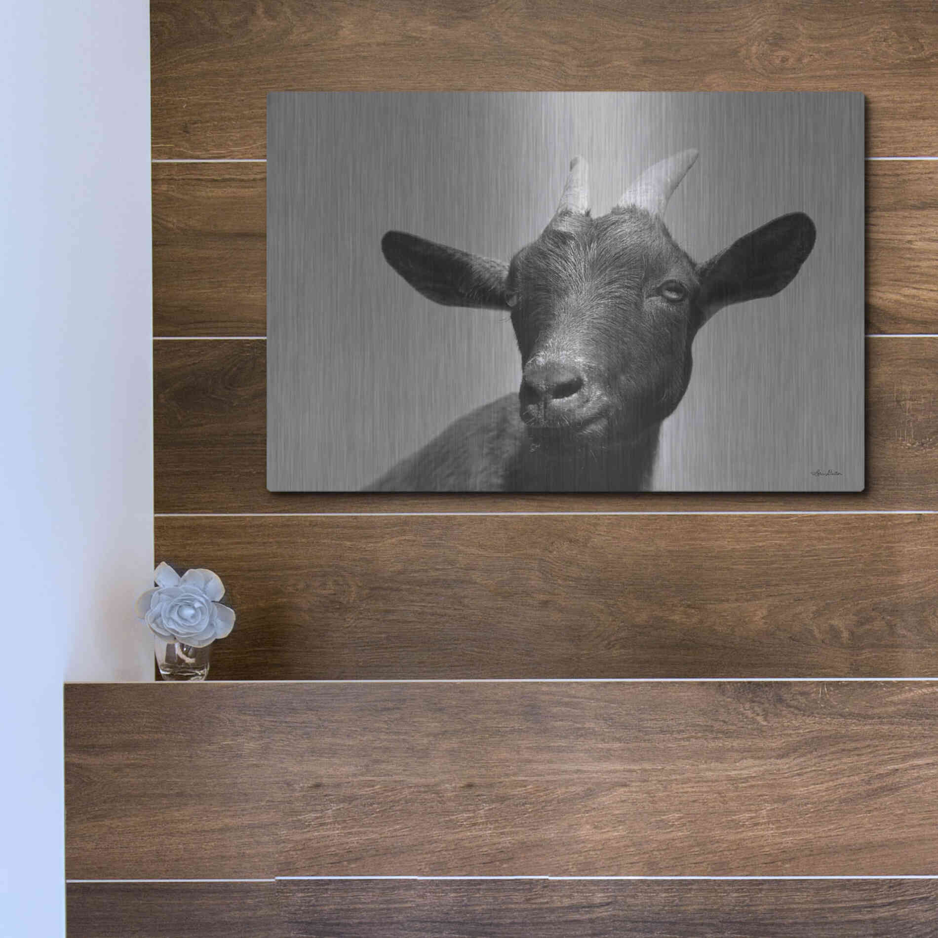 Luxe Metal Art 'Lake Tobias Goat I' by Lori Deiter, Metal Wall Art,16x12
