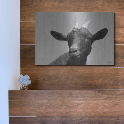 Luxe Metal Art 'Lake Tobias Goat I' by Lori Deiter, Metal Wall Art,16x12