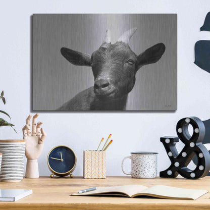 Luxe Metal Art 'Lake Tobias Goat I' by Lori Deiter, Metal Wall Art,16x12