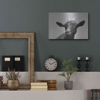 Luxe Metal Art 'Lake Tobias Goat I' by Lori Deiter, Metal Wall Art,16x12