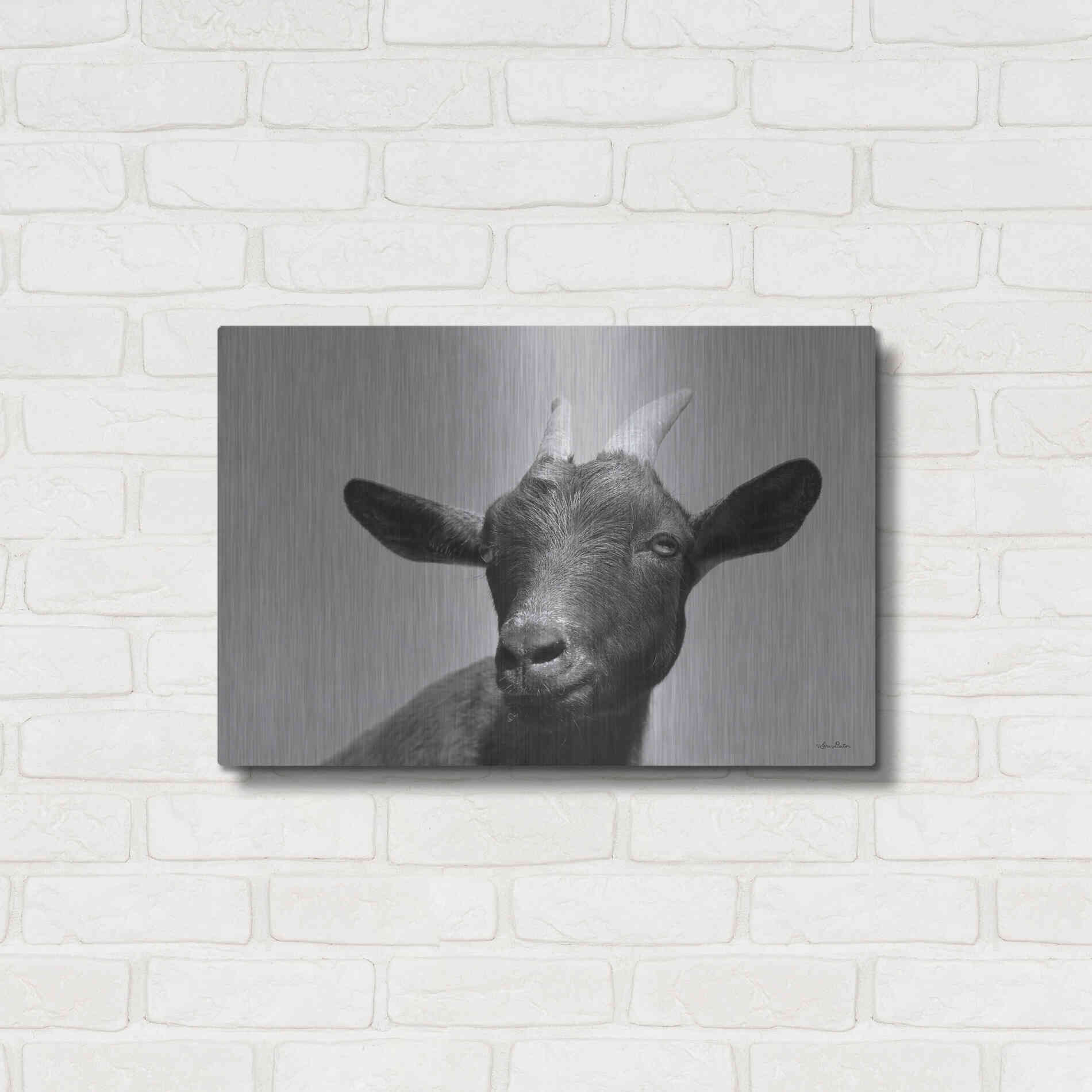 Luxe Metal Art 'Lake Tobias Goat I' by Lori Deiter, Metal Wall Art,24x16