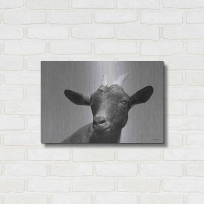 Luxe Metal Art 'Lake Tobias Goat I' by Lori Deiter, Metal Wall Art,24x16
