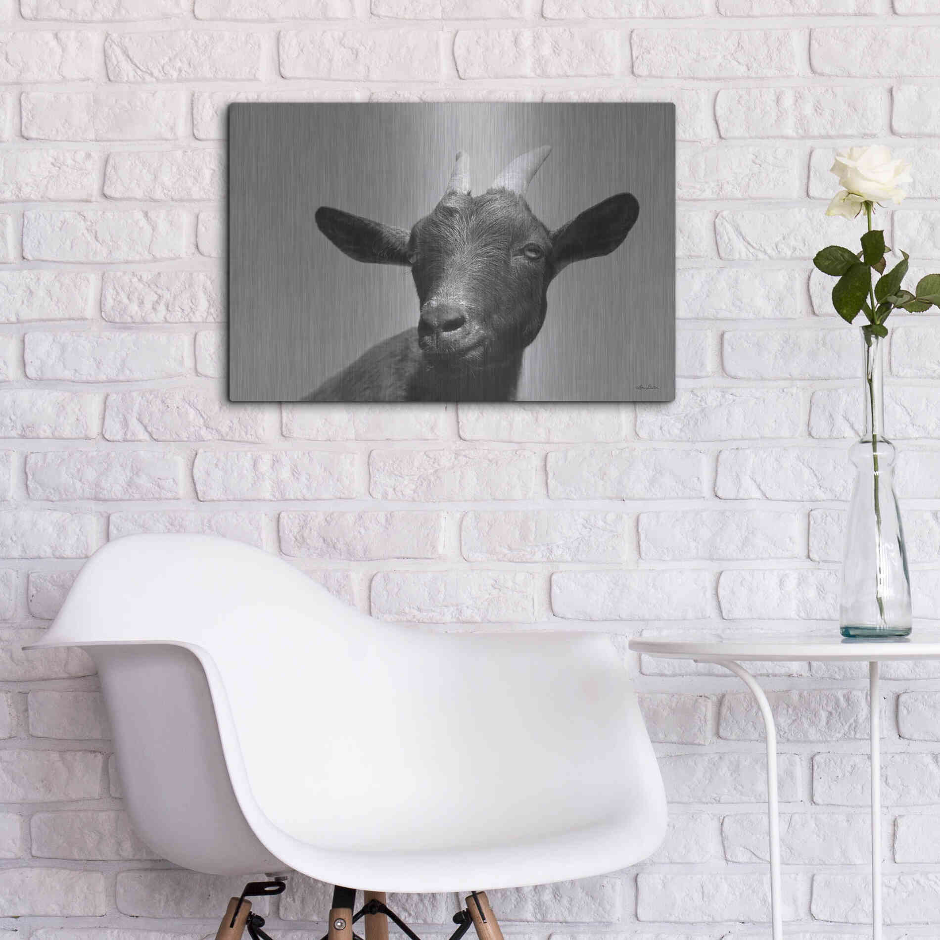 Luxe Metal Art 'Lake Tobias Goat I' by Lori Deiter, Metal Wall Art,24x16