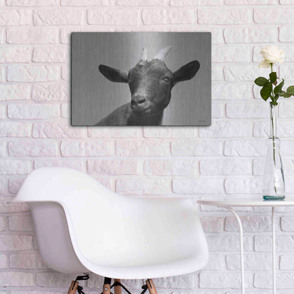 Luxe Metal Art 'Lake Tobias Goat I' by Lori Deiter, Metal Wall Art,24x16