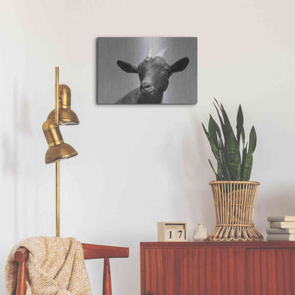 Luxe Metal Art 'Lake Tobias Goat I' by Lori Deiter, Metal Wall Art,24x16