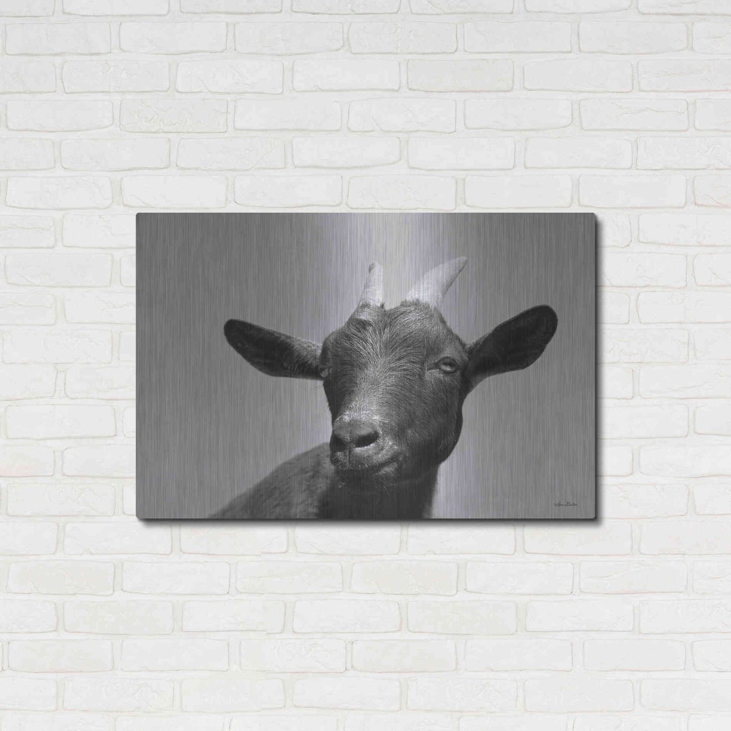 Luxe Metal Art 'Lake Tobias Goat I' by Lori Deiter, Metal Wall Art,36x24