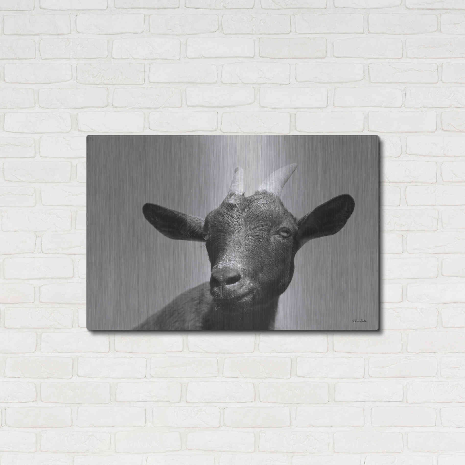 Luxe Metal Art 'Lake Tobias Goat I' by Lori Deiter, Metal Wall Art,36x24