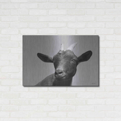 Luxe Metal Art 'Lake Tobias Goat I' by Lori Deiter, Metal Wall Art,36x24