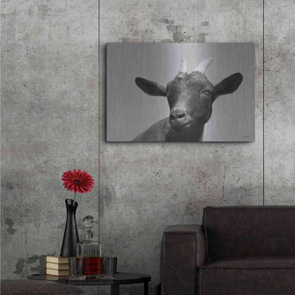 Luxe Metal Art 'Lake Tobias Goat I' by Lori Deiter, Metal Wall Art,36x24