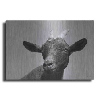 Luxe Metal Art 'Lake Tobias Goat I' by Lori Deiter, Metal Wall Art