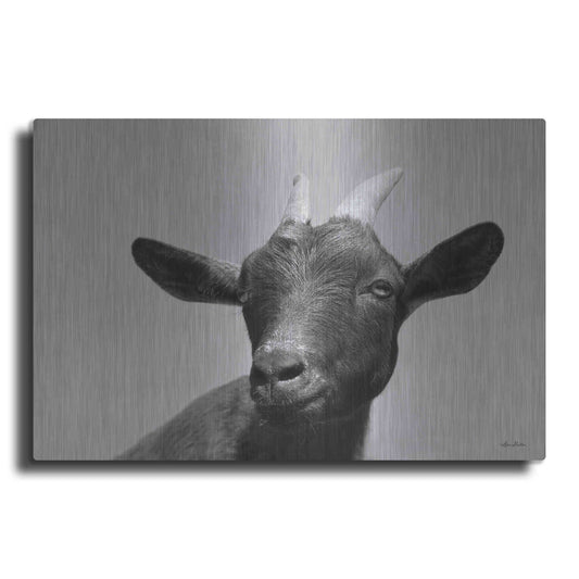 Luxe Metal Art 'Lake Tobias Goat I' by Lori Deiter, Metal Wall Art