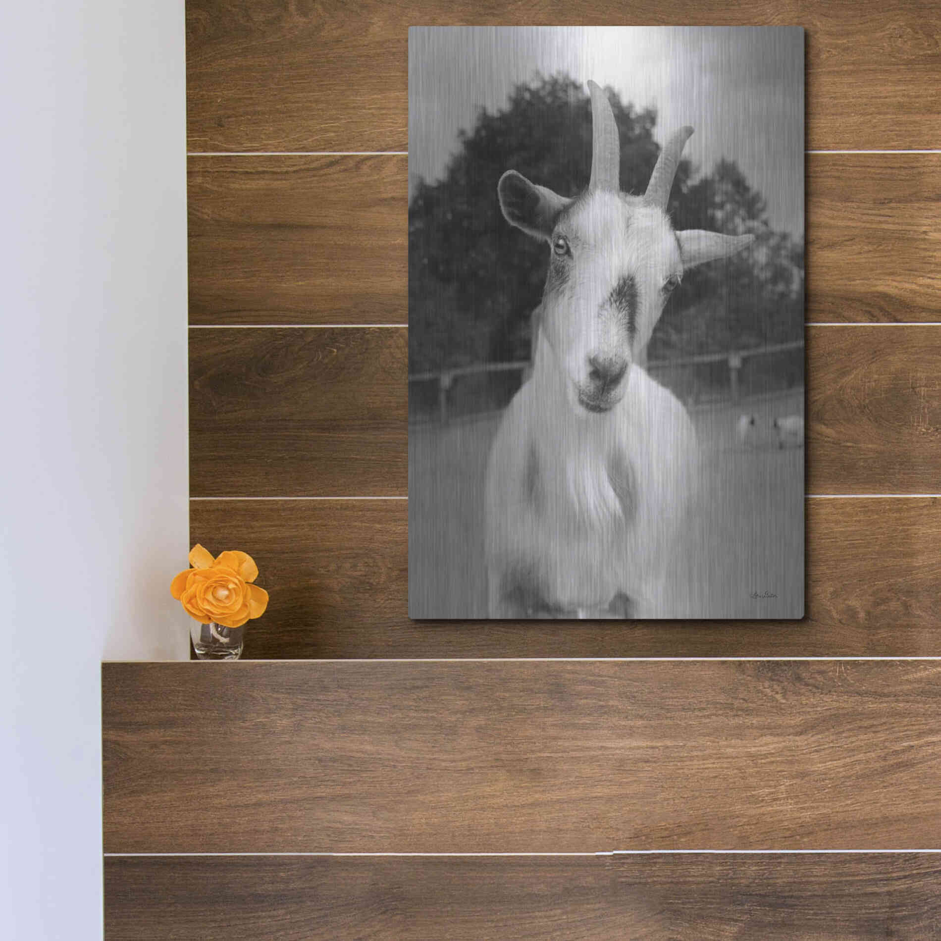 Luxe Metal Art 'Lake Tobias Goat II' by Lori Deiter, Metal Wall Art,12x16