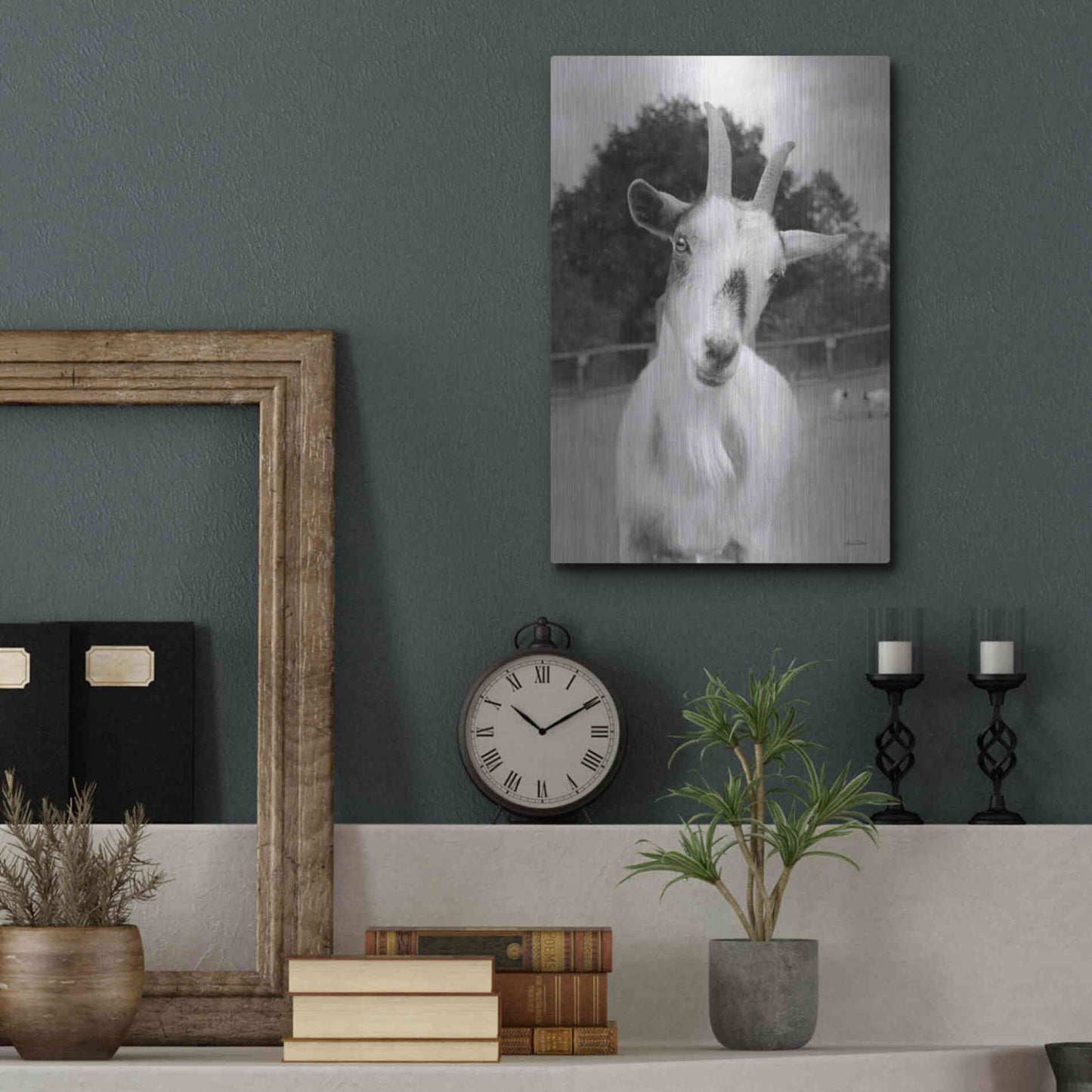 Luxe Metal Art 'Lake Tobias Goat II' by Lori Deiter, Metal Wall Art,12x16