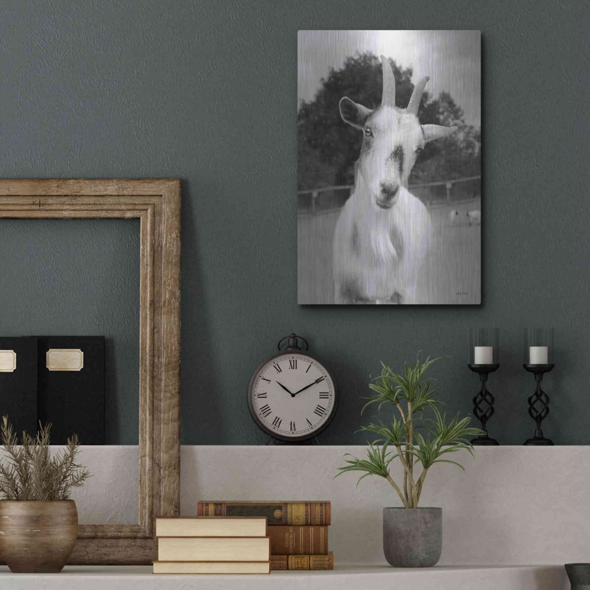 Luxe Metal Art 'Lake Tobias Goat II' by Lori Deiter, Metal Wall Art,12x16