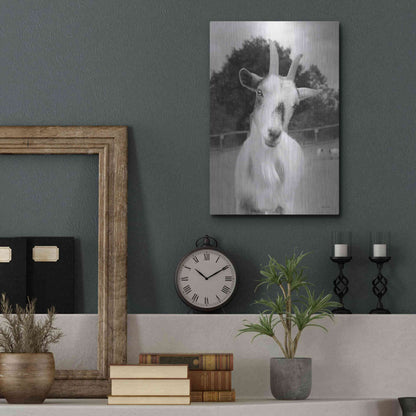 Luxe Metal Art 'Lake Tobias Goat II' by Lori Deiter, Metal Wall Art,12x16