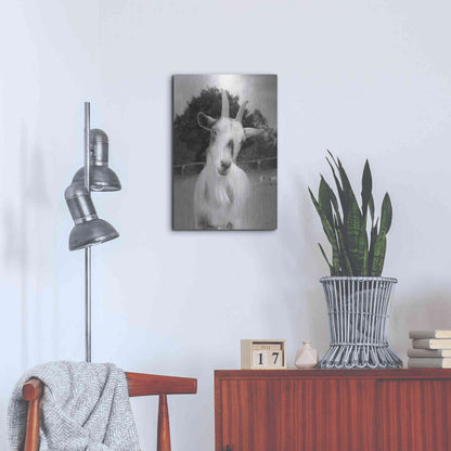 Luxe Metal Art 'Lake Tobias Goat II' by Lori Deiter, Metal Wall Art,16x24