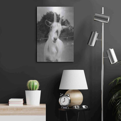 Luxe Metal Art 'Lake Tobias Goat II' by Lori Deiter, Metal Wall Art,16x24